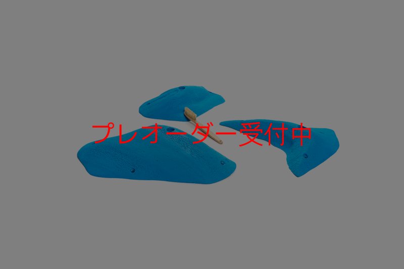 画像7: CT 2018 L 2/プレオーダー (7)