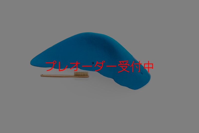 画像3: CT Wave Mavericks/プレオーダー (3)