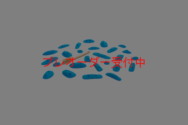 画像2: CT 2018 XS 1/プレオーダー (2)