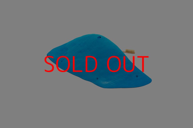 画像6: CT 2018 MEG 6 (6)