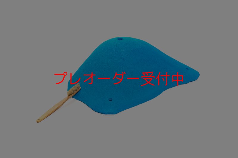 画像1: CT 2018 XXL 1/プレオーダー (1)