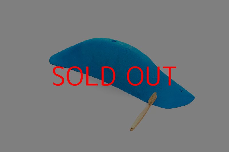 画像1: CT 2018 MEG 9 (1)