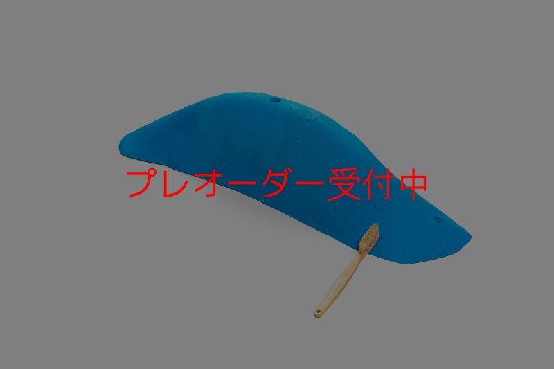 画像1: CT 2018 MEG 9/プレオーダー (1)