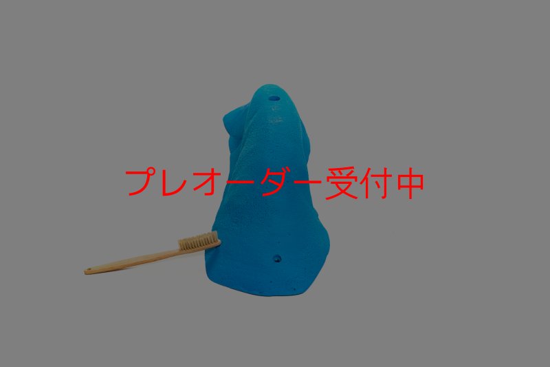 画像2: CT 2018 MEG 9/プレオーダー (2)