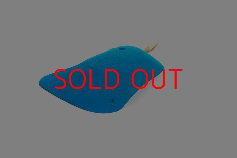 画像4: CT 2018 XXL 1 (4)