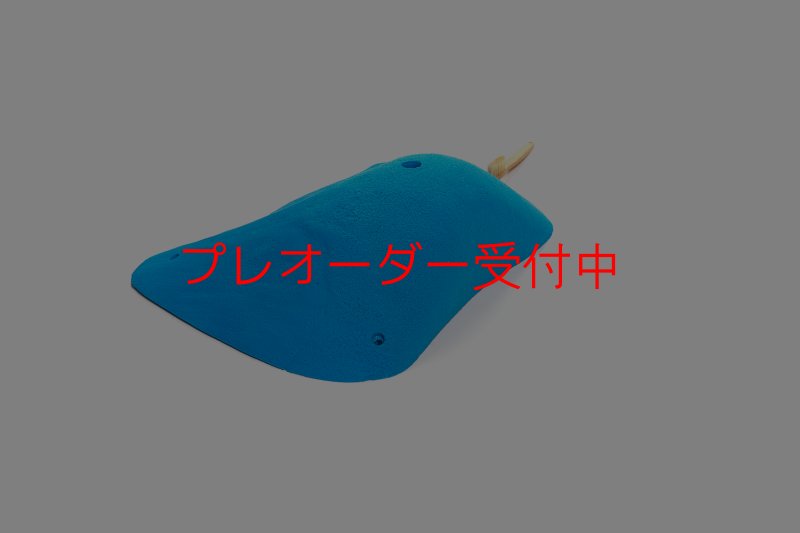 画像4: CT 2018 XXL 1/プレオーダー (4)