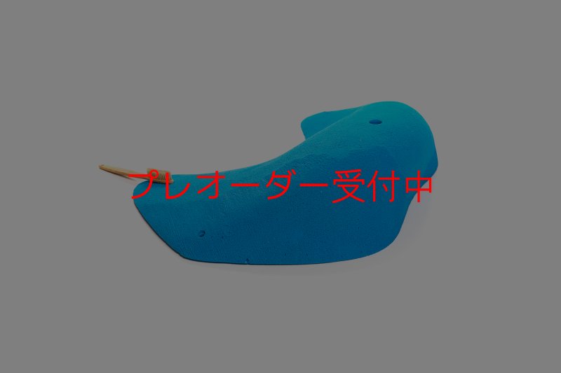 画像1: CT 2018 MEG 4/プレオーダー (1)