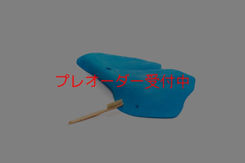 画像3: CT 2018 XXL 4/プレオーダー (3)