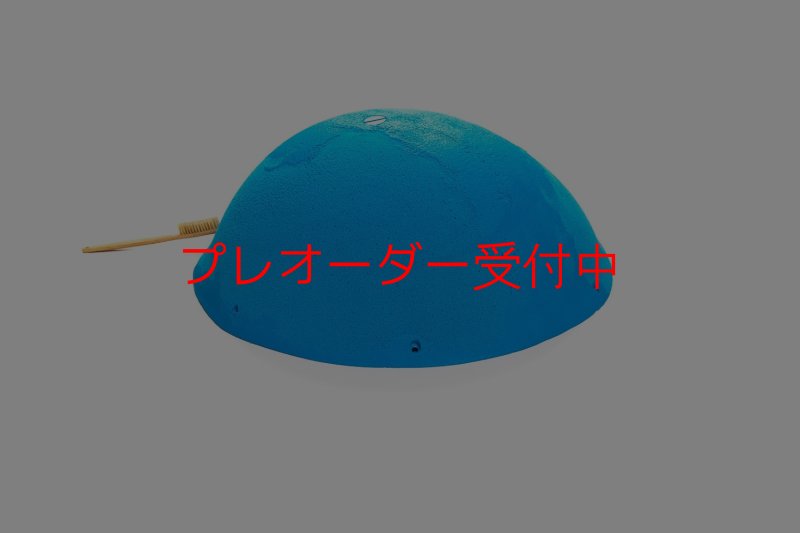 画像6: CT 2018 MEG 1/プレオーダー (6)