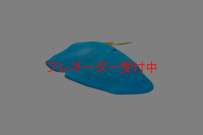 画像6: CT 2018 XXL 4/プレオーダー (6)