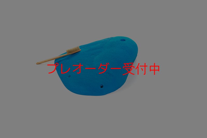 画像2: CT 2018 XXL 2/プレオーダー (2)