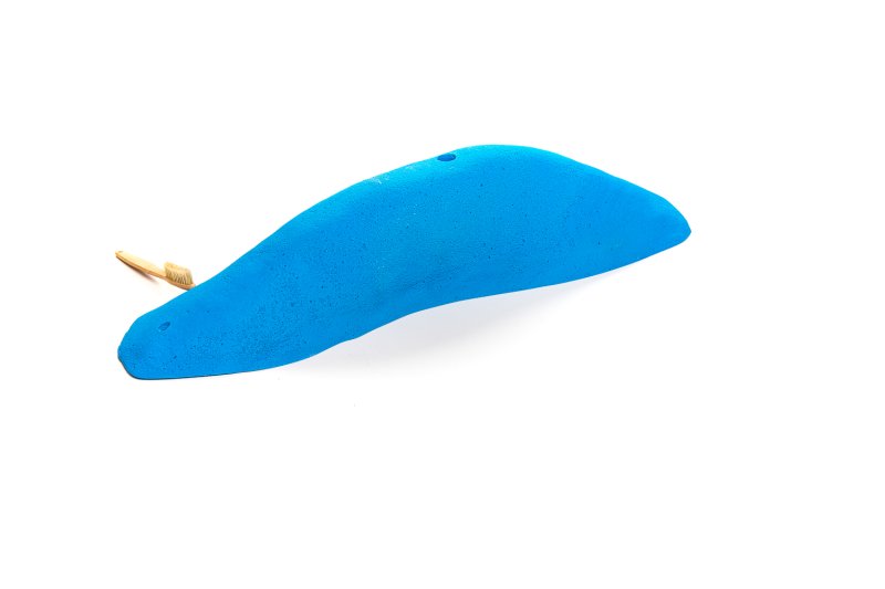 画像3: CT 2018 MEG 9 (3)