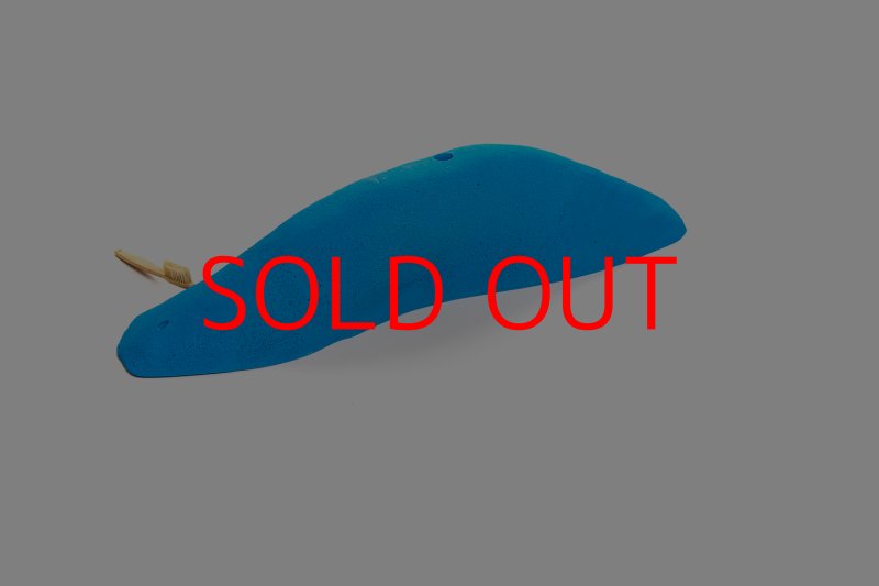 画像3: CT 2018 MEG 9 (3)