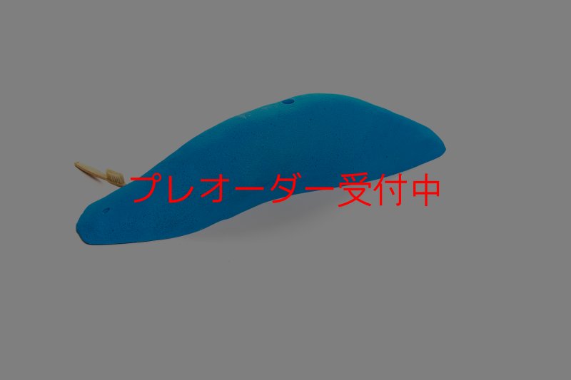 画像3: CT 2018 MEG 9/プレオーダー (3)