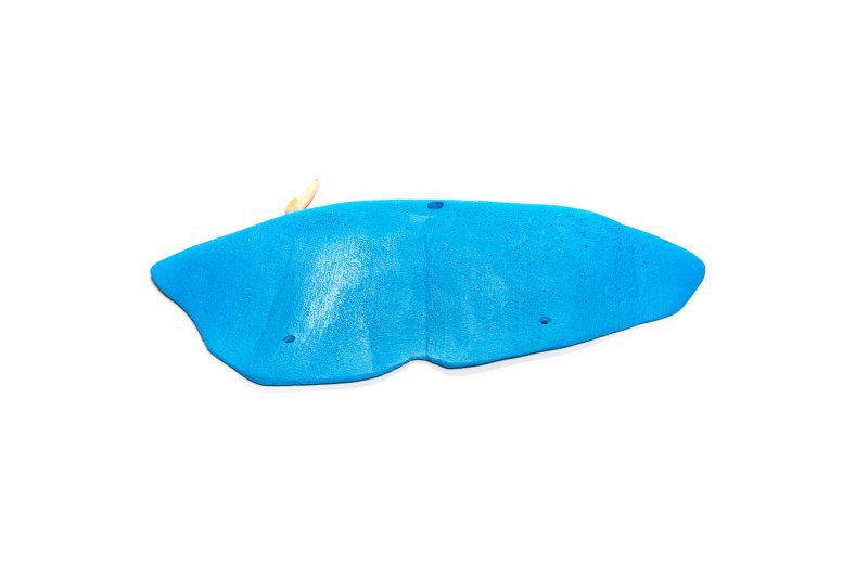 画像5: CT 2018 XXL 4 (5)