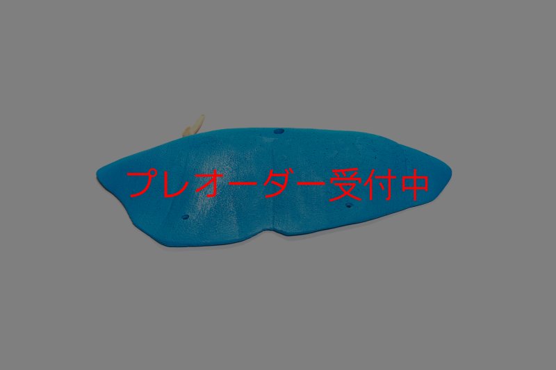 画像5: CT 2018 XXL 4/プレオーダー (5)