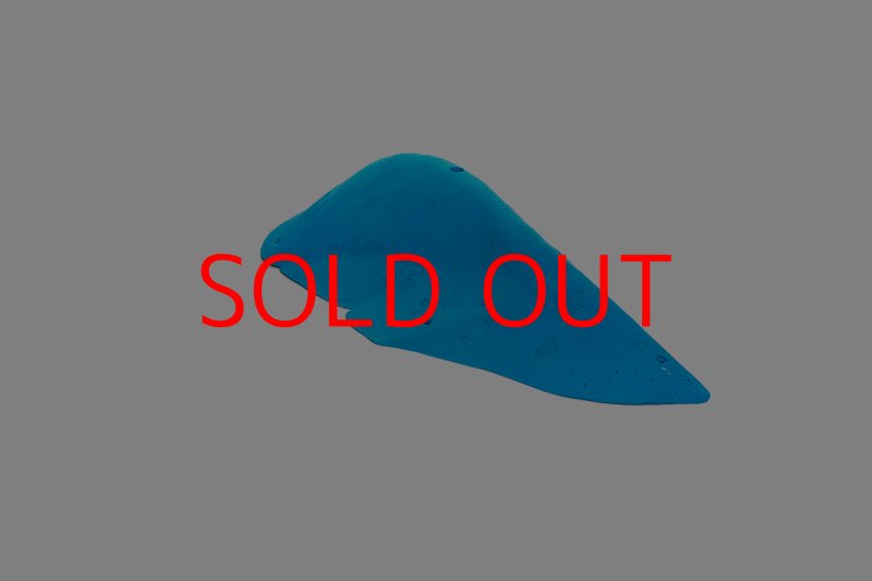 画像3: CT 2018 MEG 8 (3)