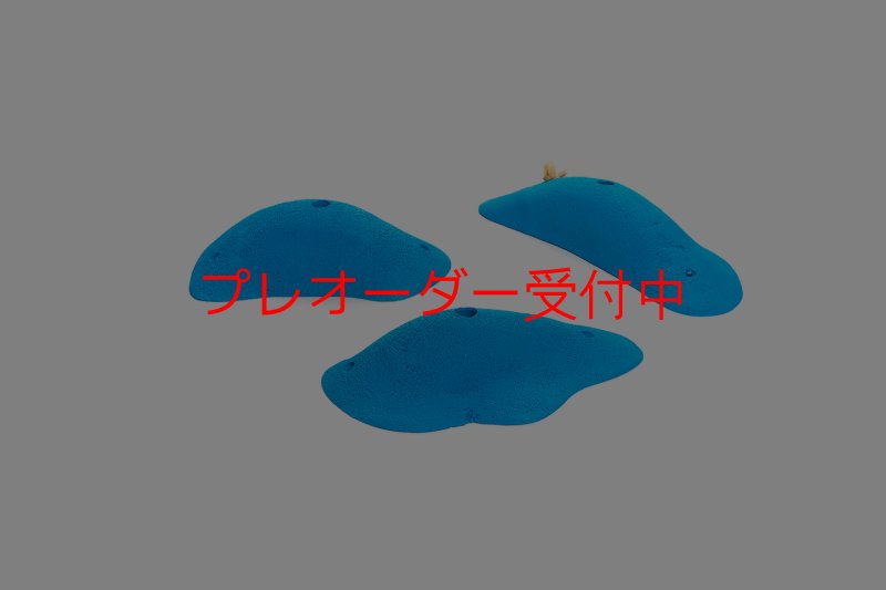 画像5: CT 2018 L 1/プレオーダー (5)