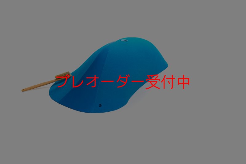 画像1: CT Wave Dungeons/プレオーダー (1)
