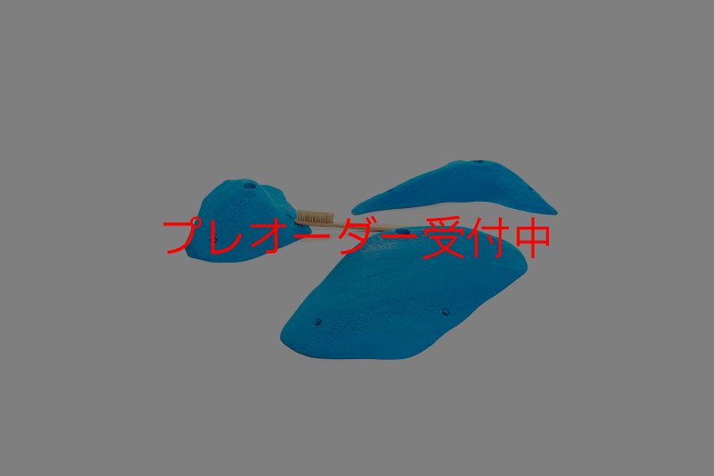 画像6: CT 2018 L 2/プレオーダー (6)