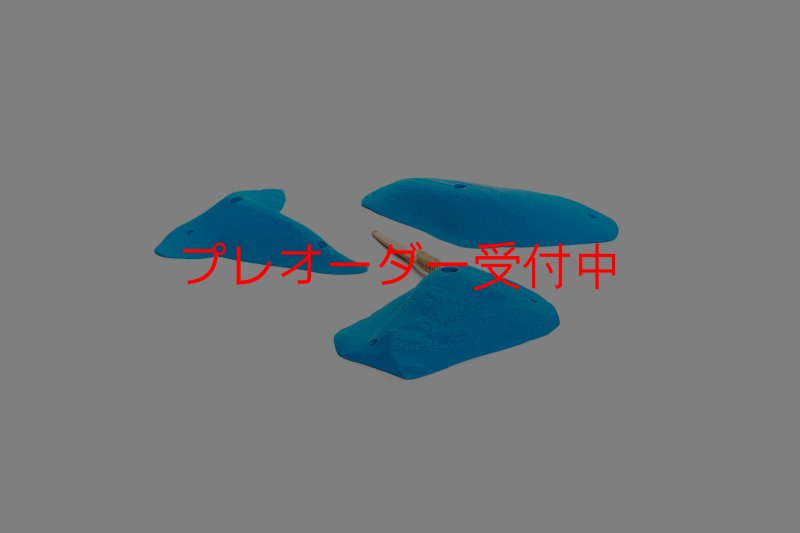 画像5: CT 2018 L 2/プレオーダー (5)