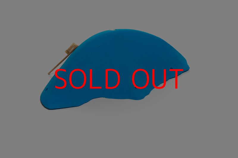 画像2: CT Wave Avalanche (2)