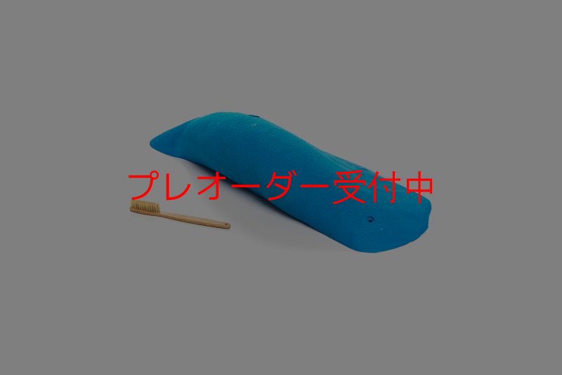 画像3: CT 2018 MEG 6/プレオーダー (3)