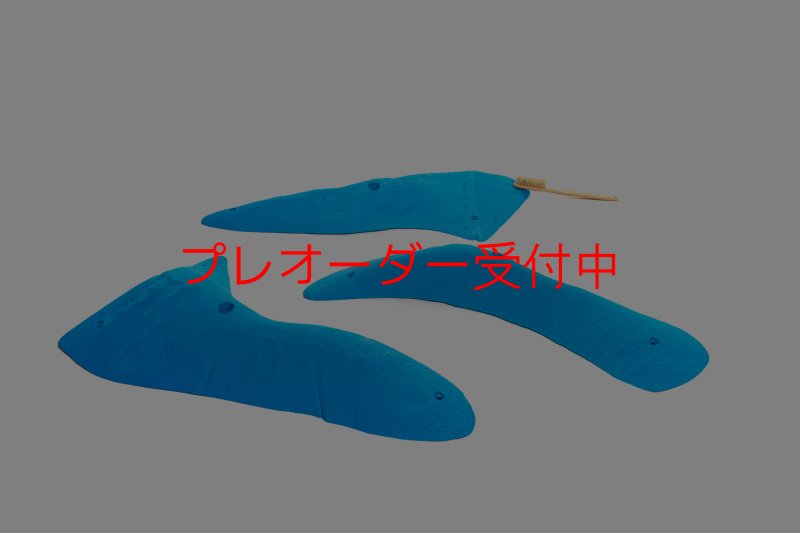 画像6: CT 2018 XL 3/プレオーダー (6)