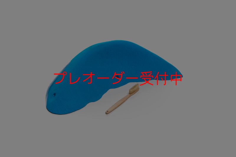 画像2: CT Wave Mavericks/プレオーダー (2)