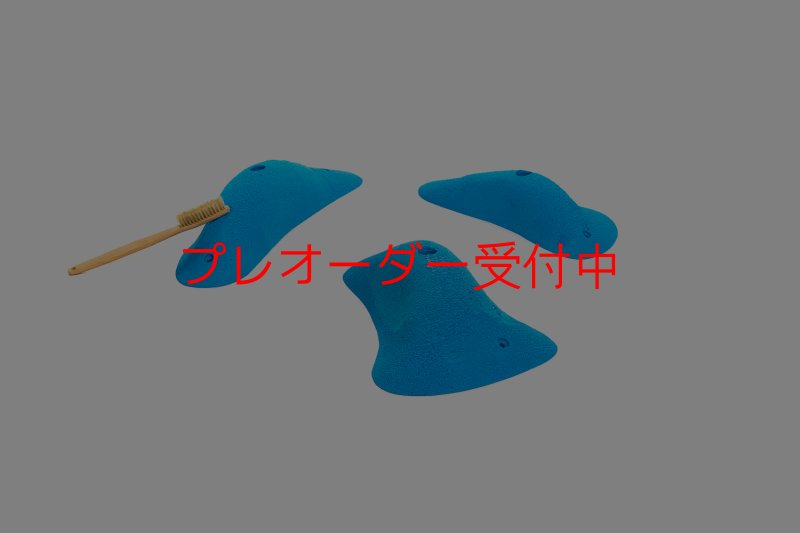 画像3: CT 2018 L 1/プレオーダー (3)