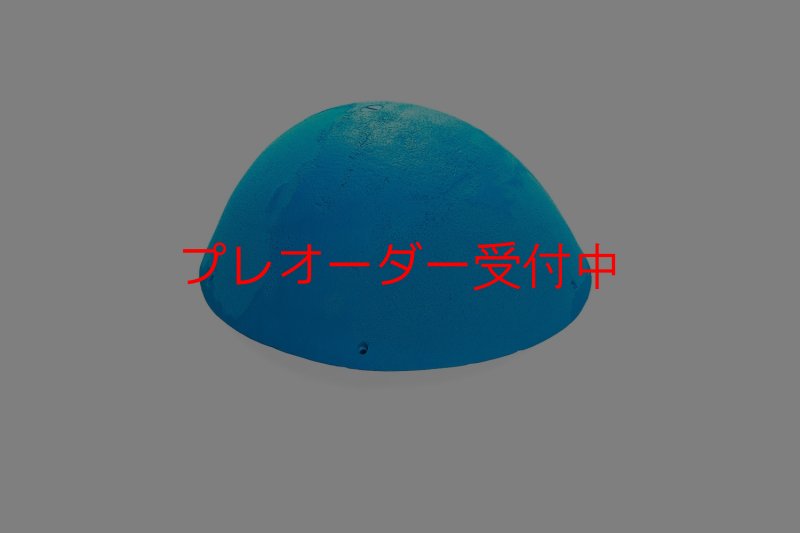 画像1: CT 2018 MEG 1/プレオーダー (1)
