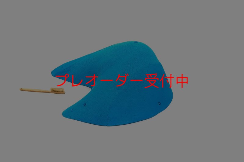 画像4: CT 2018 MEG 3/プレオーダー (4)