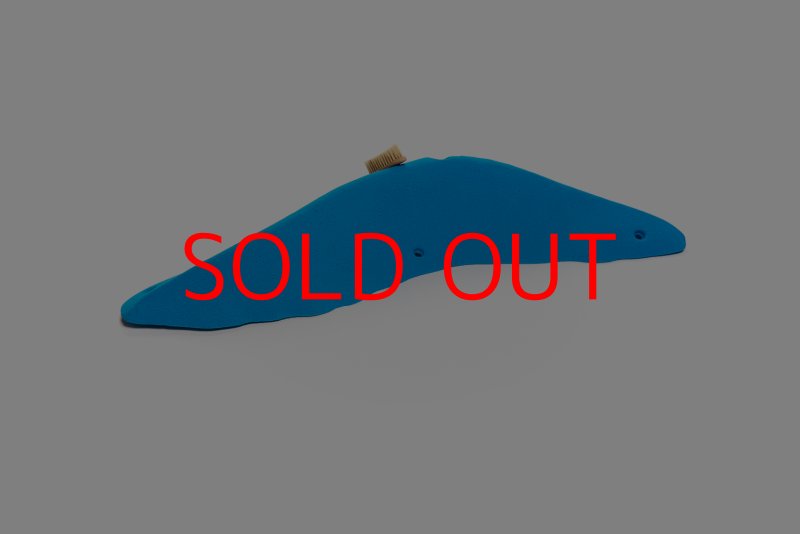 画像2: CT Wave Teahupoo (2)