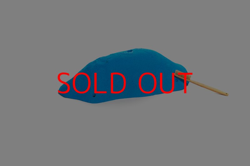 画像5: CT 2018 XXL 6 (5)