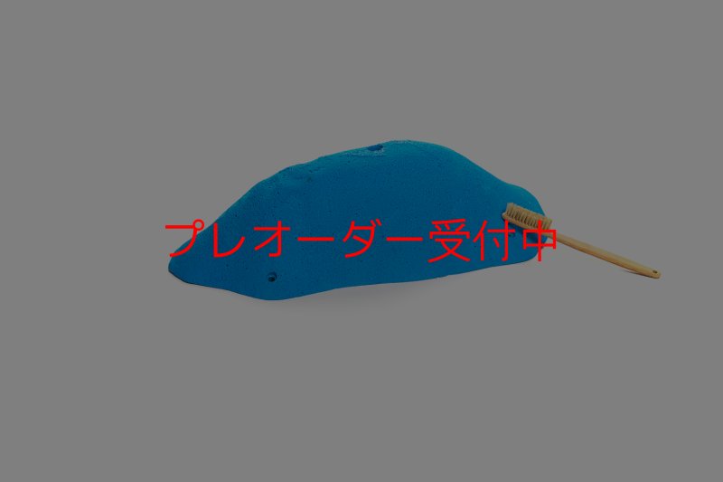画像5: CT 2018 XXL 6/プレオーダー (5)