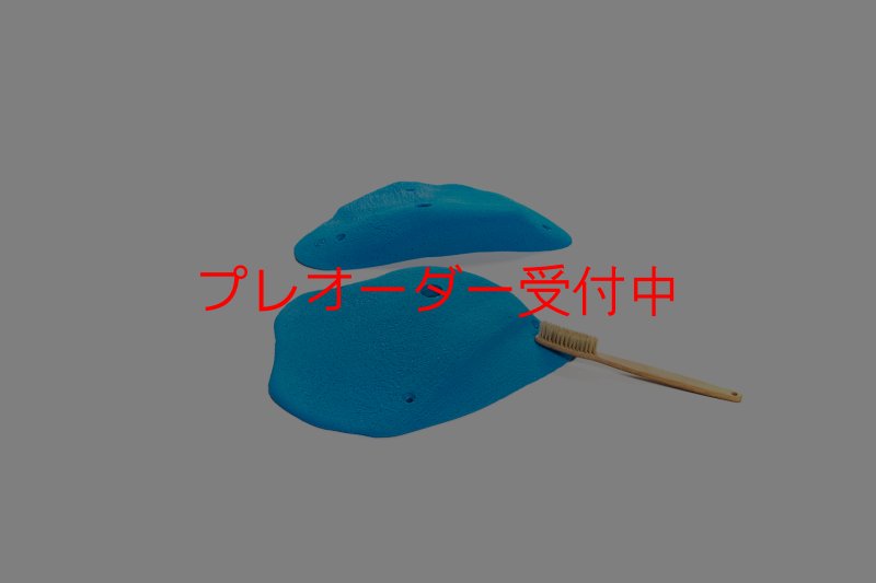 画像6: CT 2018 XL 5/プレオーダー (6)