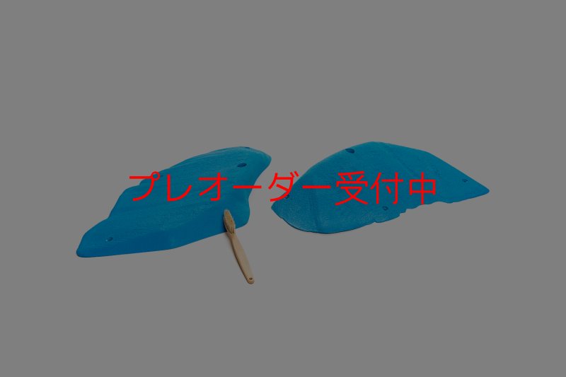 画像1: CT 2018 XL 1/プレオーダー (1)
