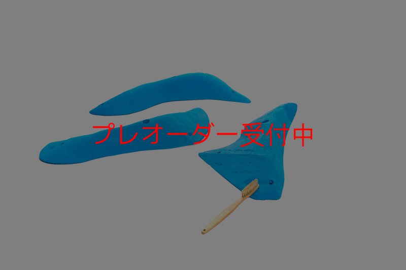 画像2: CT 2018 XL 3/プレオーダー (2)