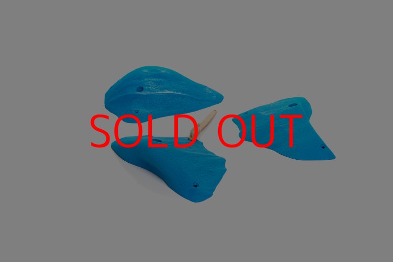 画像5: CT 2018 XL 6 (5)