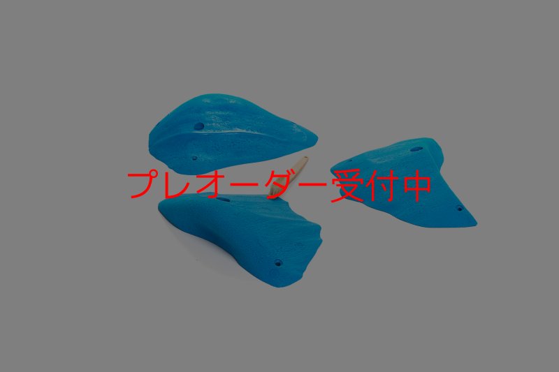 画像5: CT 2018 XL 6/プレオーダー (5)