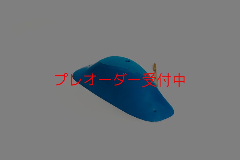 画像4: CT Wave Oahu/プレオーダー (4)
