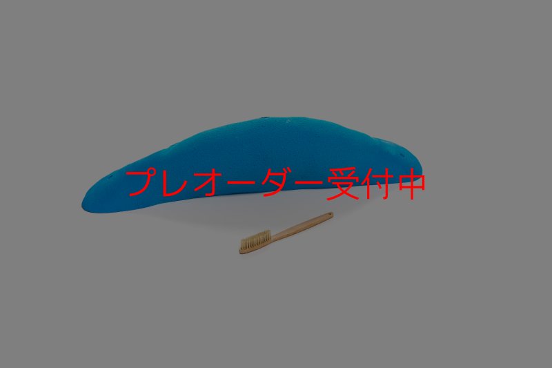 画像2: CT 2018 MEG 6/プレオーダー (2)