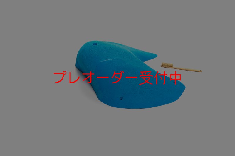 画像1: CT 2018 MEG 3/プレオーダー (1)