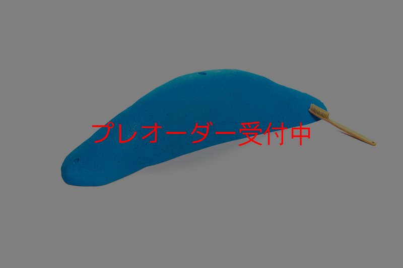 画像6: CT 2018 MEG 9/プレオーダー (6)