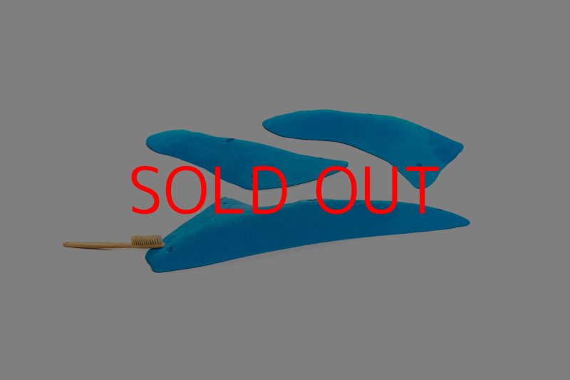 画像3: CT 2018 XL 3 (3)