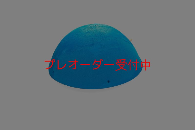 画像2: CT 2018 MEG 1/プレオーダー (2)