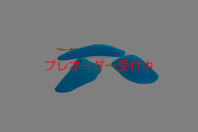 画像2: CT 2018 XL 4/プレオーダー (2)