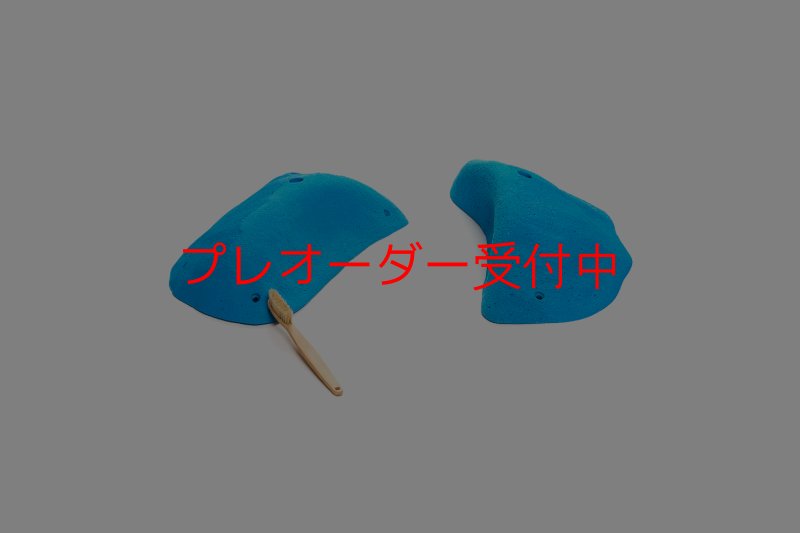 画像1: CT 2018 XL 2/プレオーダー (1)