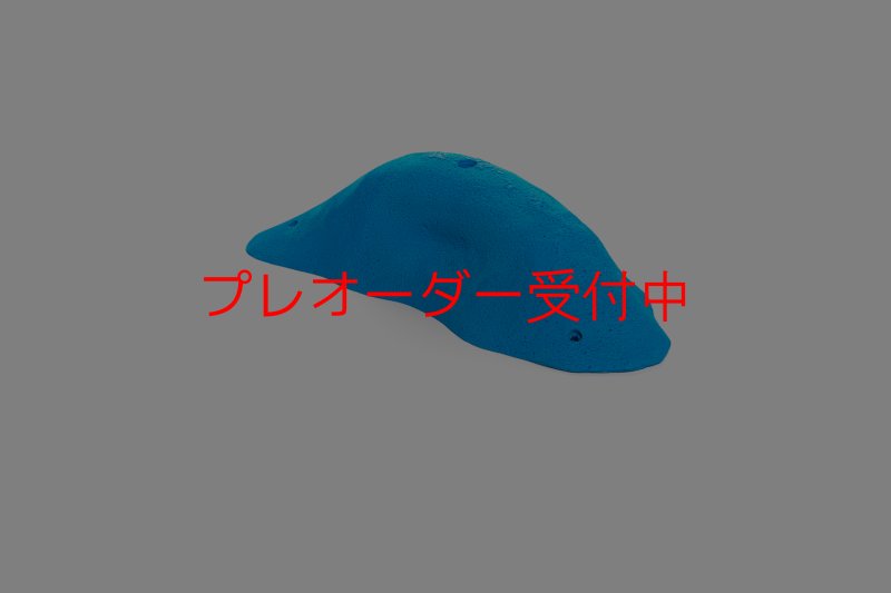 画像3: CT 2018 XXL 6/プレオーダー (3)