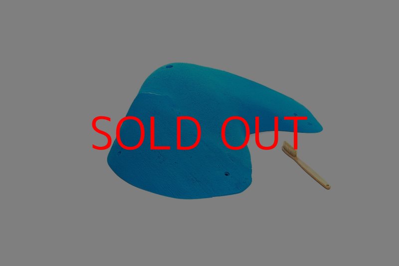 画像2: CT 2018 MEG 3 (2)